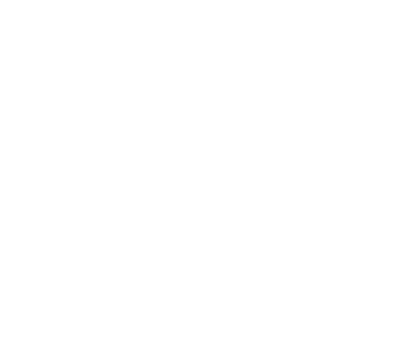 MF Bau GS GmbH